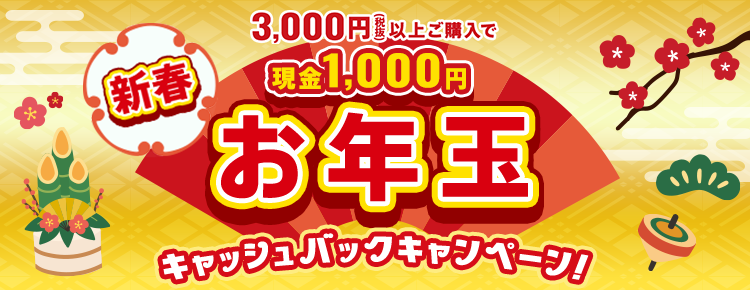 新春お年玉キャッシュバックキャンペーン